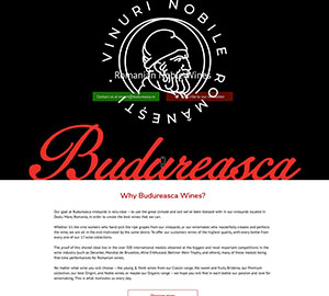 Budureasca-portfolio