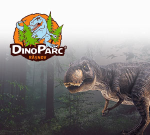 dino-portfolio