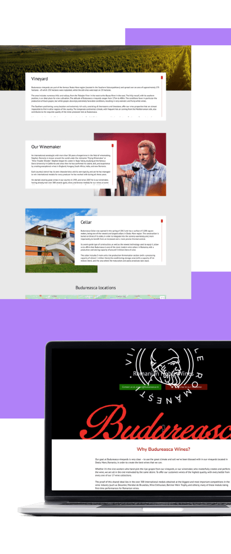Budureasca Page Website Desktop