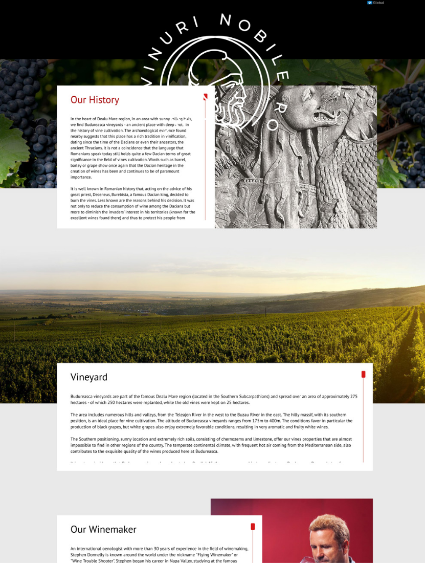 Budureasca Page Website