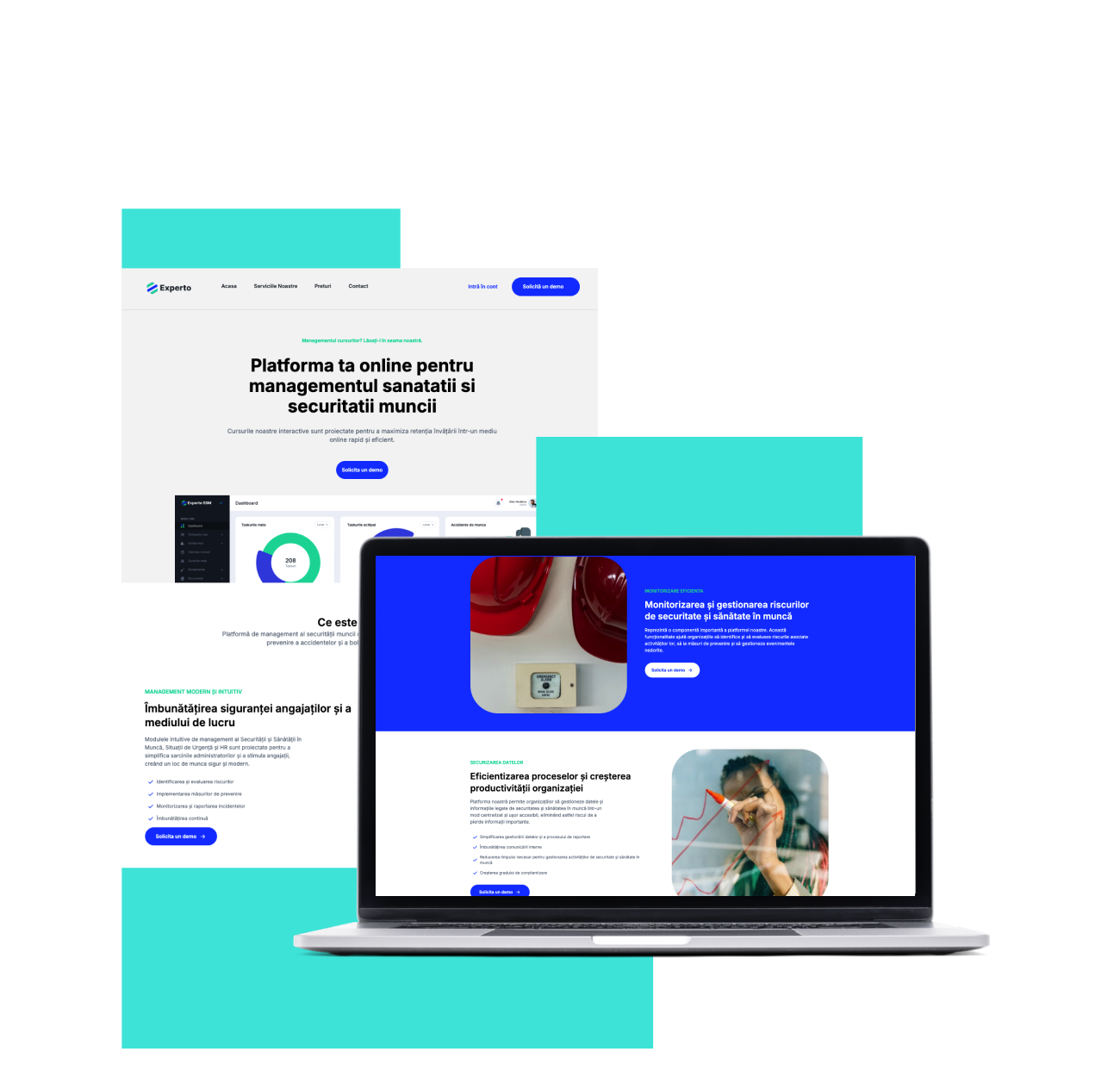 Experto  Page Website Mobile
