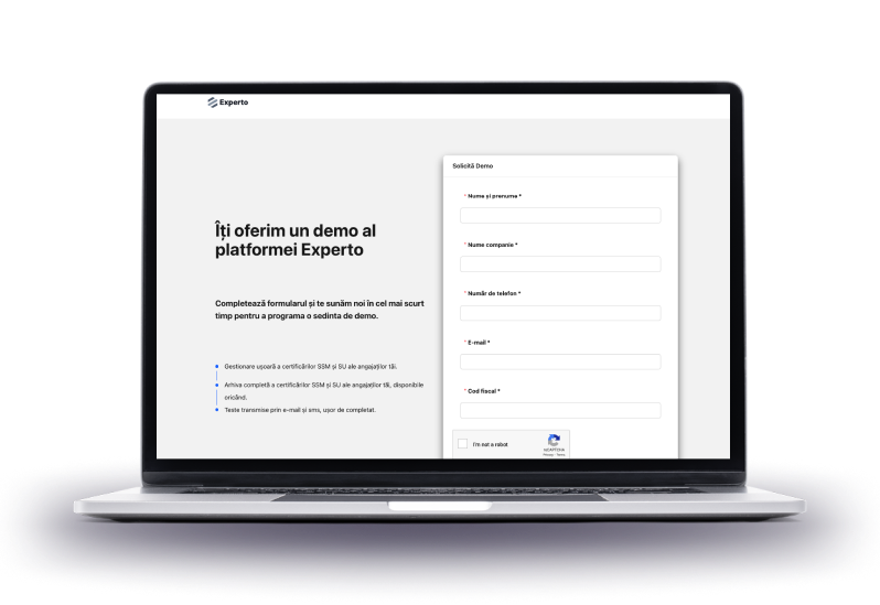 Experto Page Website